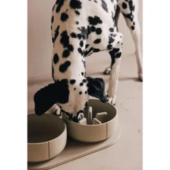 Pino Anti Schrok Bowl - Kattenvoerbak - Ø18x4 cm Grijs Geschikt Voor Katten En Kleine Honden Small