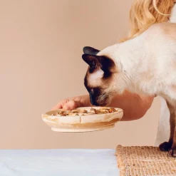 Pino Anti Schrok Bowl - Kattenvoerbak - Ø18x4 cm Terracotta Geschikt Voor Katten En Kleine Honden Small