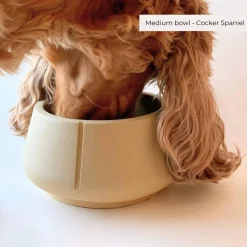 Pino Lange Oren Bowl - Hondenvoerbak - Ø18x9 cm Beige Geschikt Voor Middelgrote Honden Medium