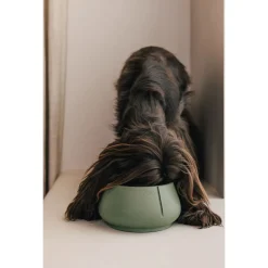 Pino Lange Oren Bowl - Hondenvoerbak - Ø18x9 cm Grijs Geschikt Voor Middelgrote Honden Medium