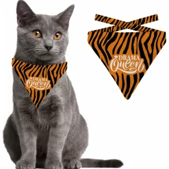 Plenty Gifts Bandana Cat Drama Queen - Cadeau - 16x20 cm Oranje Zwart