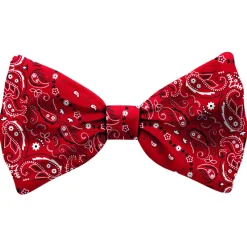 Plenty Gifts Bow Tie Dog  Pattern - Cadeau - 4x12x1 cm Rood Wit S