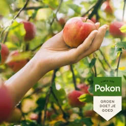 Pokon Bio Fruitbomenmest - Meststoffen - 1 kg