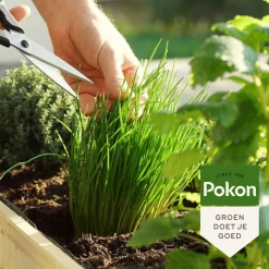 Pokon Bio Kruidenmest - Meststoffen - 1 kg