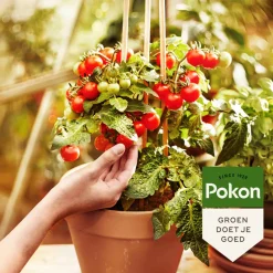 Pokon Bio Moestuinmest - Meststoffen - 1 kg