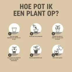 Pokon Bio Potgrond Kamerplanten Turfvrij - Potgrond Turf - 10 l