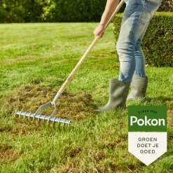 Pokon Graszaad Herstel Sos - Graszaden - 250 g