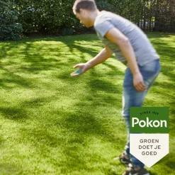 Pokon Graszaad Schaduw - Graszaden - 1 kg