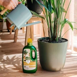 Pokon Kamerplantenvoeding - Meststoffen