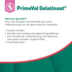 Primeval Gelatinaat Hond - Supplement - Gewrichten - Spieren