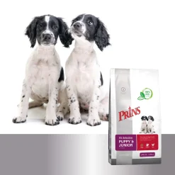 Prins Fit Selection Puppy & Junior - Hondenvoer