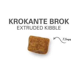 Prins Vitalcare Cat Senior 12plus - Kattenvoer