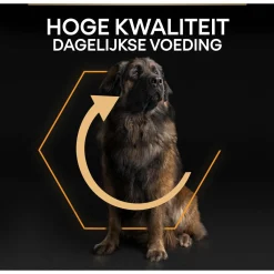 Pro Plan Dog Adult Large Breed Robust Kip - Hondenvoer