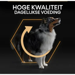 Pro Plan Dog Adult Medium Breed Kip - Hondenvoer