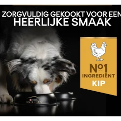 Pro Plan Dog Adult Medium Breed Kip - Hondenvoer