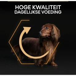 Pro Plan Dog Adult Small & Mini Breed Kip - Hondenvoer