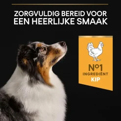 Pro Plan Dog Senior Medium & Large Breed - Hondenvoer - Kip 14 kg