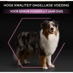 Pro Plan Dog Senior Medium & Large Breed - Hondenvoer - Kip 14 kg