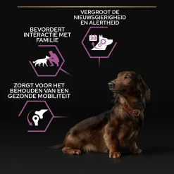 Pro Plan Dog Senior Small & Mini Breed - Hondenvoer - Kip 3 kg