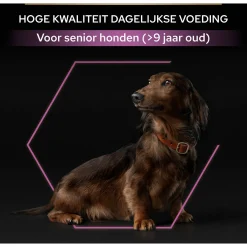 Pro Plan Dog Senior Small & Mini Breed - Hondenvoer - Kip 3 kg