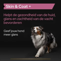 Pro Plan Hond Skin&Coat Supplement Olie - Voedingssupplement - 250 ml