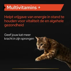 Pro Plan Kat Multivitamine Supplement - Voedingssupplement - 60 g Poeder