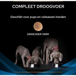 Pro Plan Veterinary Diets Canine Drm Dermatosis - Hondenvoer