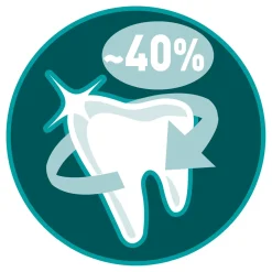 Purina One Adult - Kattenvoer - Rund Granen 1.5 kg