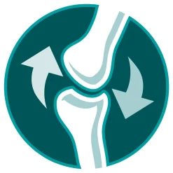 Purina One Adult - Kattenvoer - Rund Granen 1.5 kg