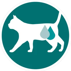 Purina One Adult Kat - Kattenvoer - Kip Sperziebonen 4x85 g