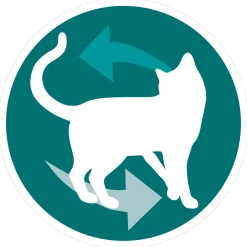 Purina One Adult Kat - Kattenvoer - Kip Sperziebonen 4x85 g