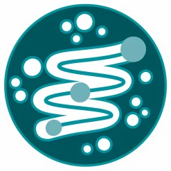 Purina One Adult Kip&Granen - Kattenvoer