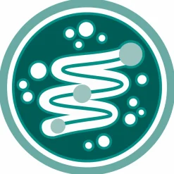 Purina One Adult Kip&Granen - Kattenvoer