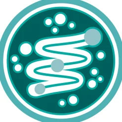 Purina One Adult Kip&Granen - Kattenvoer