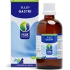 Puur Natuur Gastri - Supplement - Spijsvertering - 100 ml Hond/Kat/Paard