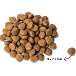 Renske Adult Kalkoen&Eend - Hondenvoer