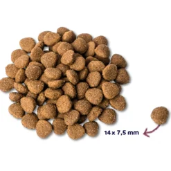 Renske Adult Kalkoen&Eend - Hondenvoer