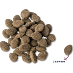 Renske Adult Lam - Hondenvoer