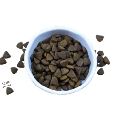 Riverwood Adult Scottish Zalm&Witvis - Hondenvoer