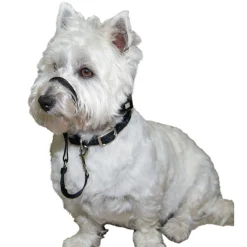 Rosewood Gentle Leader Zwart - Anti-Trek