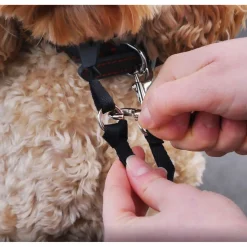 Rosewood Gentle Leader Zwart - Anti-Trek