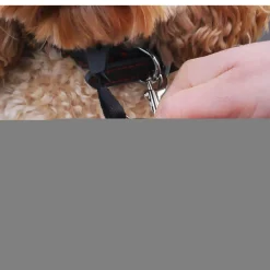 Rosewood Gentle Leader Zwart - Anti-Trek