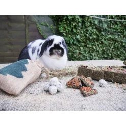 Rosewood Naturals Kerstboom Challenge - Knaagdiersnack - 20x23x3.5 cm