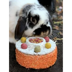 Rosewood Naturals Verjaardags Taart - Knaagdiersnack - 13x13x10 cm 300 g Wit