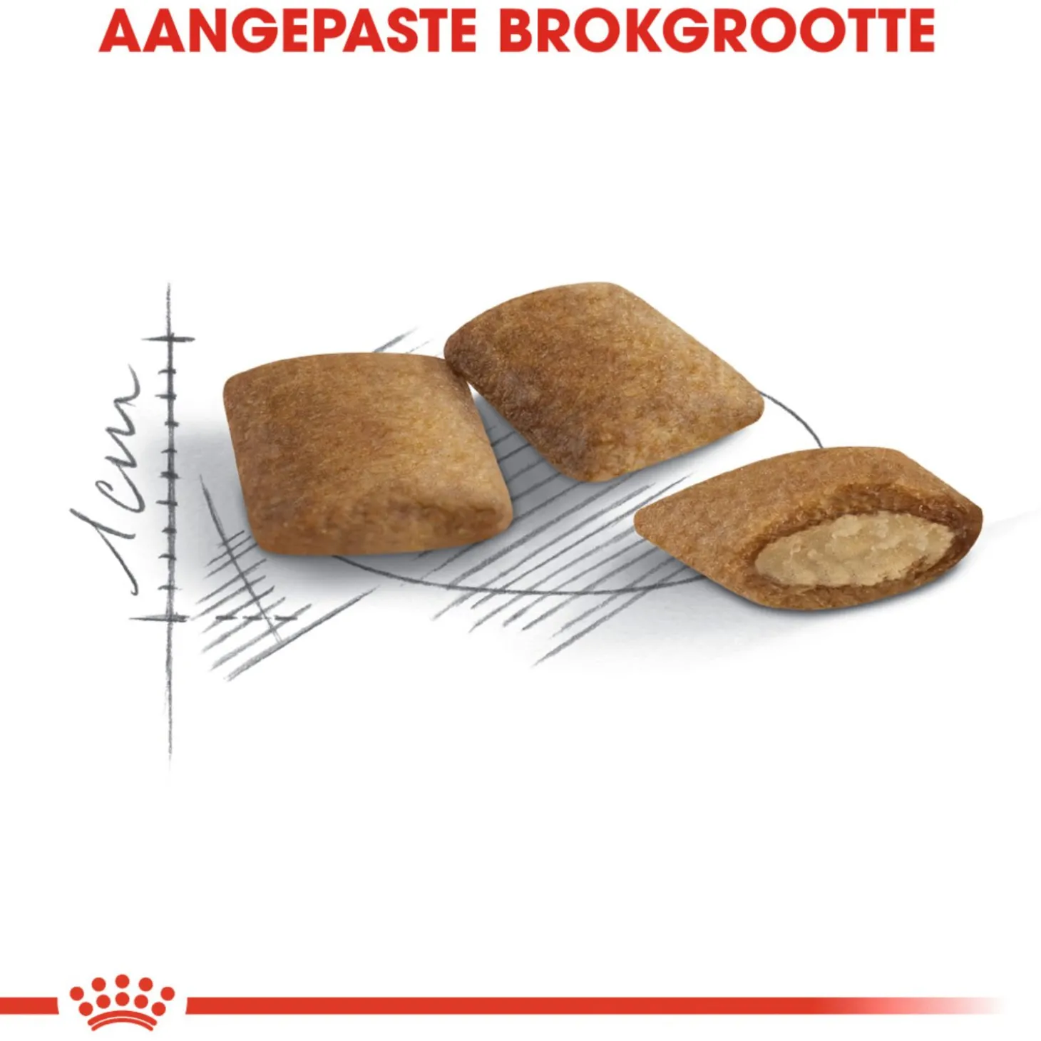 Royal Canin Ageing 12+ - Kattenvoer