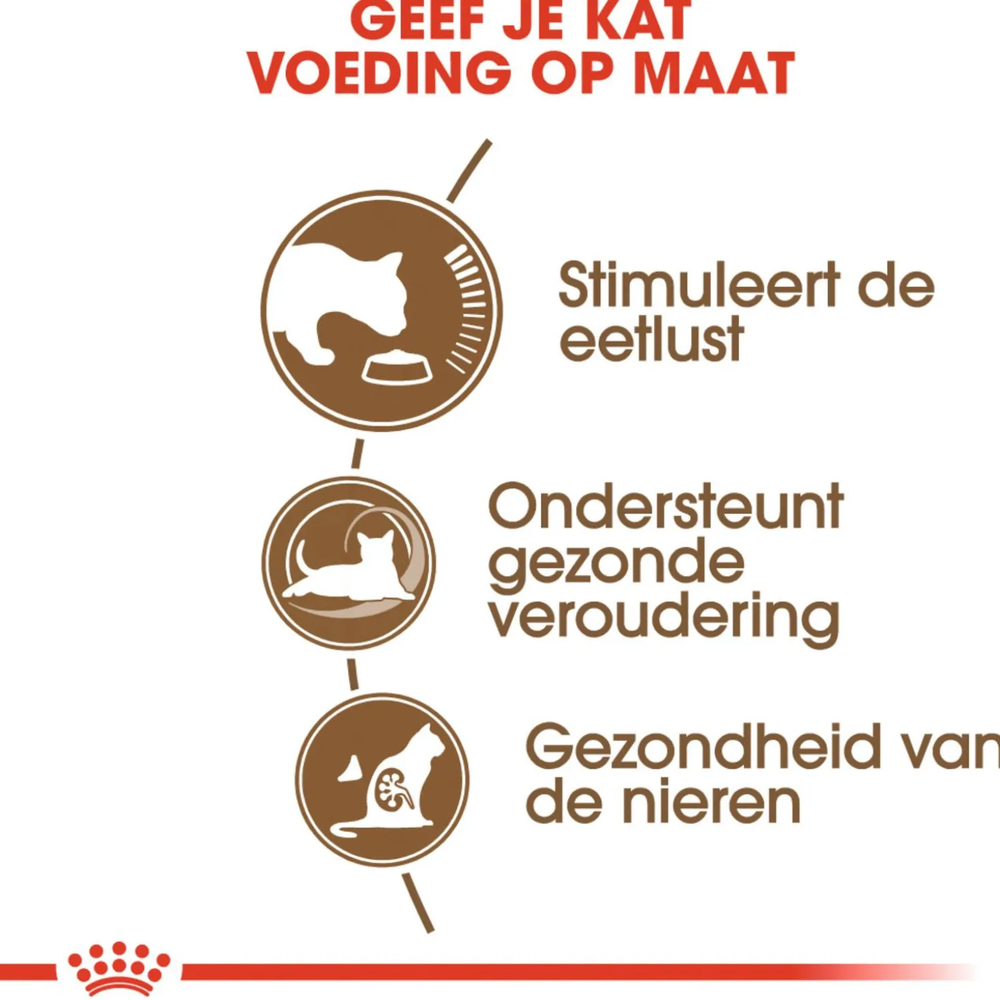 Royal Canin Ageing 12+ - Kattenvoer