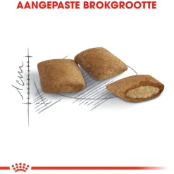 Royal Canin Ageing 12+ - Kattenvoer