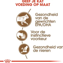 Royal Canin Ageing +12 In Jelly - Kattenvoer - 12x85 g