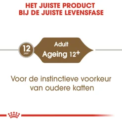 Royal Canin Ageing +12 In Jelly - Kattenvoer - 12x85 g