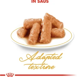 Royal Canin British Shorthair Adult Natvoer - Kattenvoer - 12x85 g